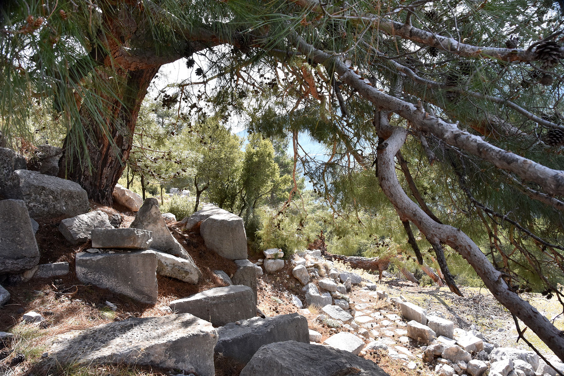 Arycanda is an Ancient Lycian city, former bishopric and present Catholic titular see in Antalya.